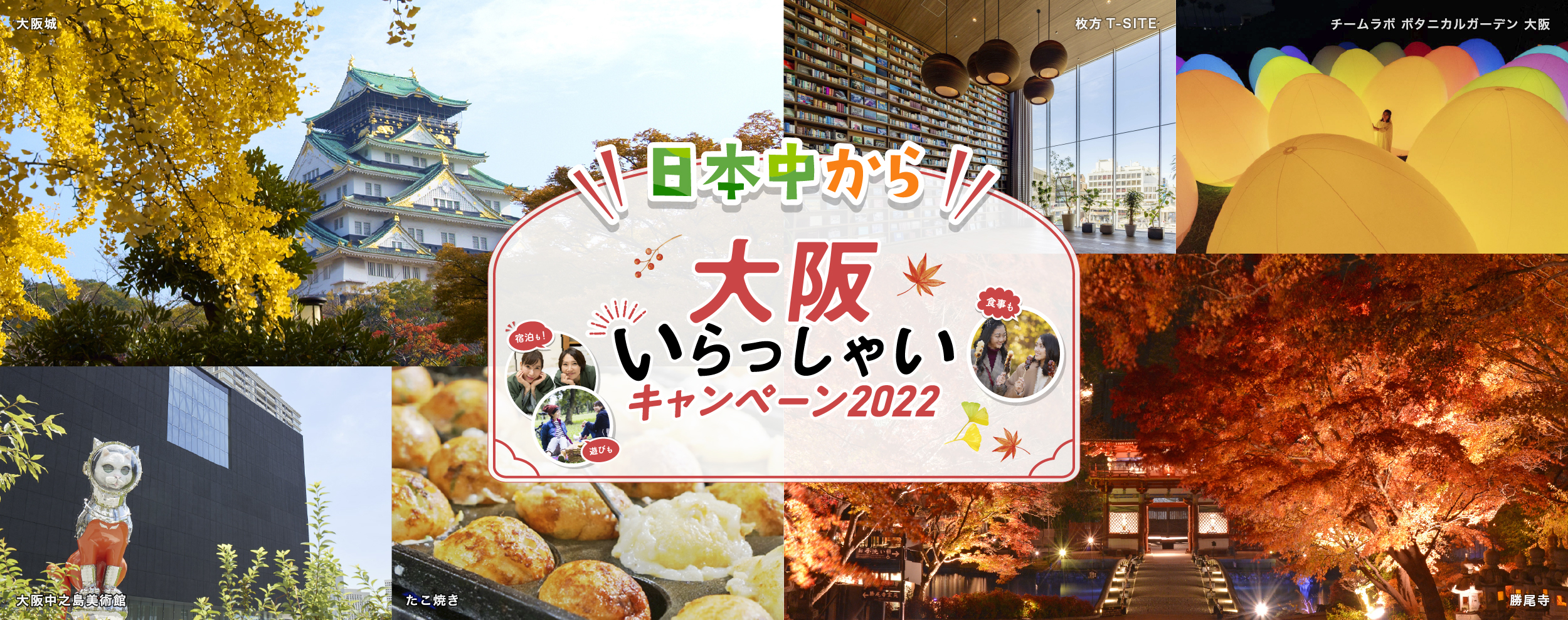 半額品 近鉄百貨店ネットショップ店〈銀装〉黒糖カステラ-Y6 A glm_I010000003985