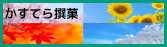 季節のかすてら